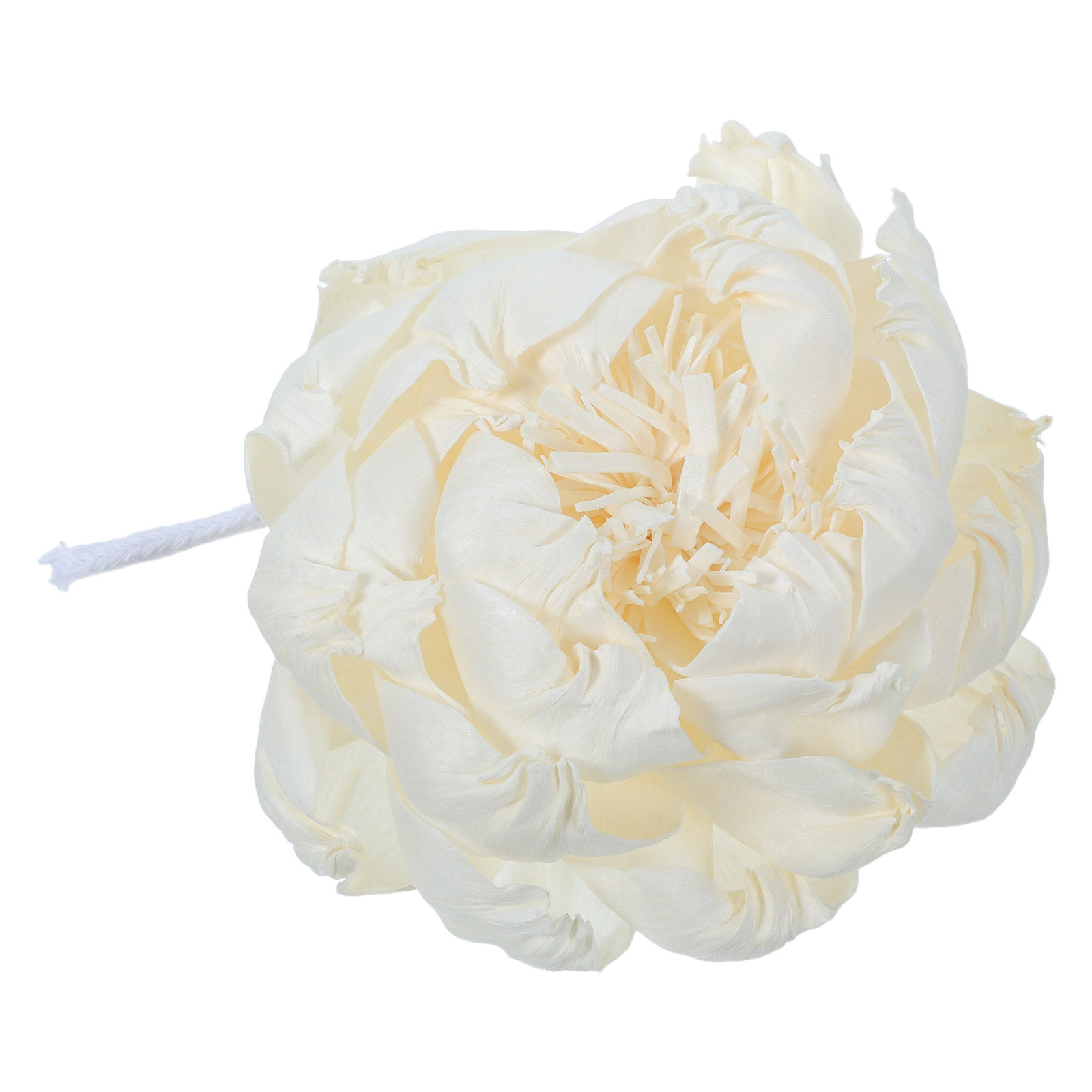 Diffusore di Fragranza a Forma - Home Fragrance For Diffuser recensione e prezzo